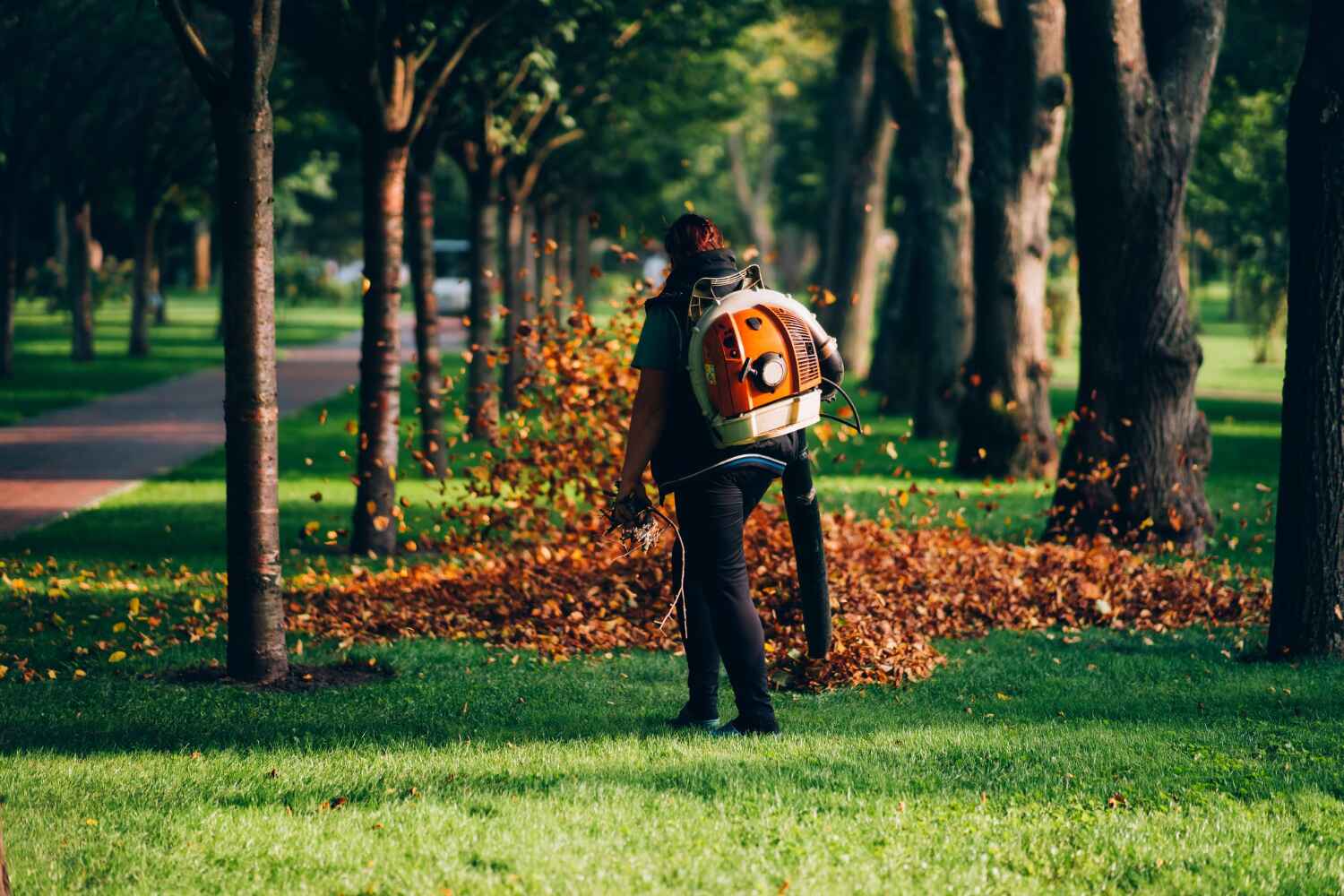 Best Tree Removal Cost  in Upper Lake, CA